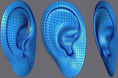 3D打印人體器官是真的嗎